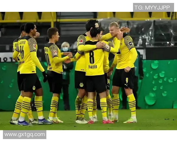 布里班狮吼与凤凰的激烈对决揭示澳超联赛的精彩与悬念